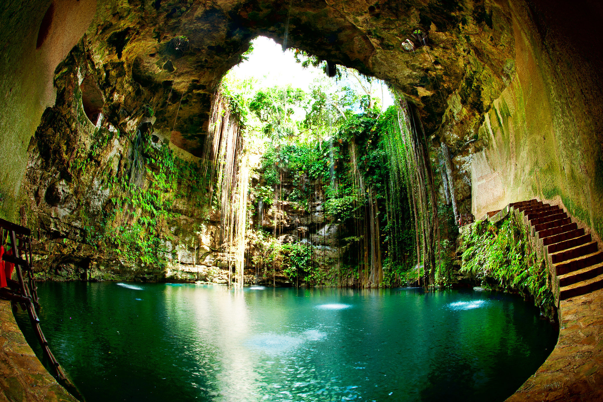 Cenotes in the Riviera Maya