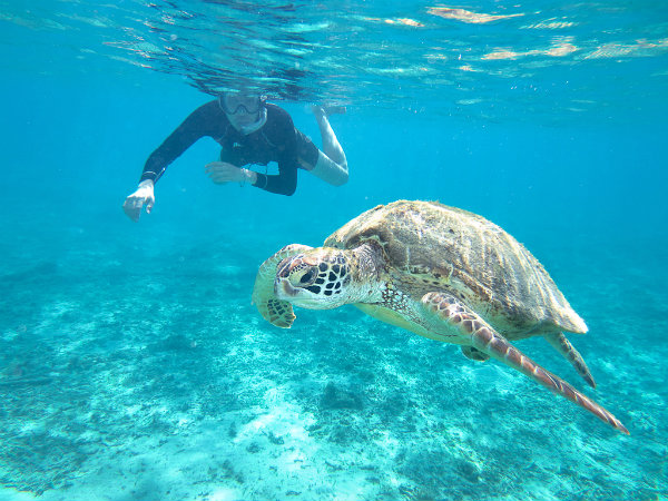 Water Activities in the Riviera Maya