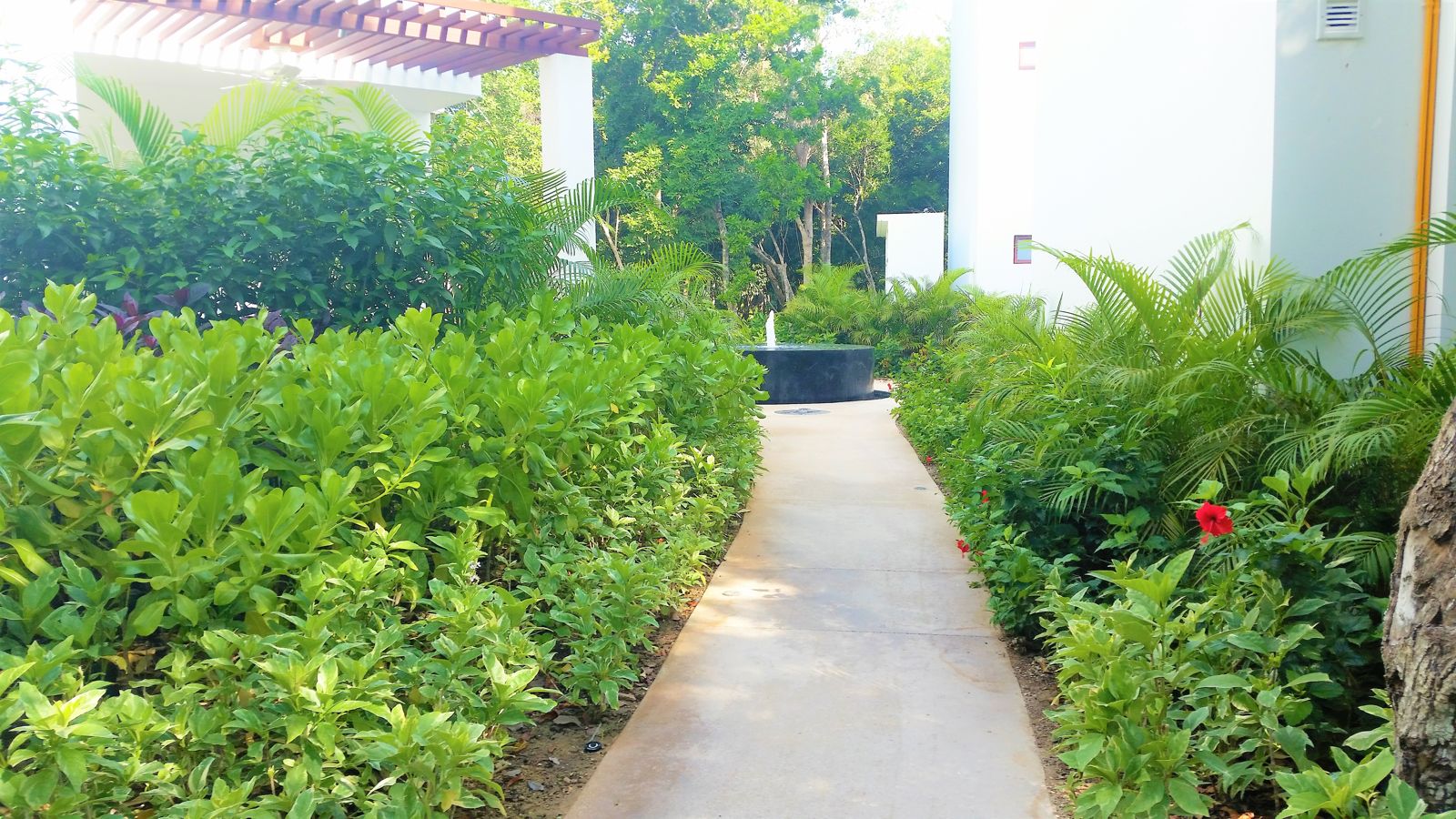 Bahia Principe resort grounds